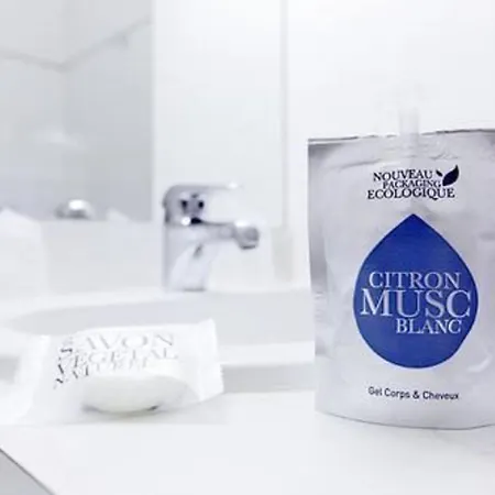 Grand De La Seine Hotel 4*