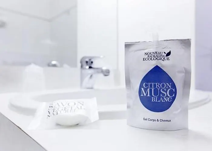 Grand De La Seine Otel 4*